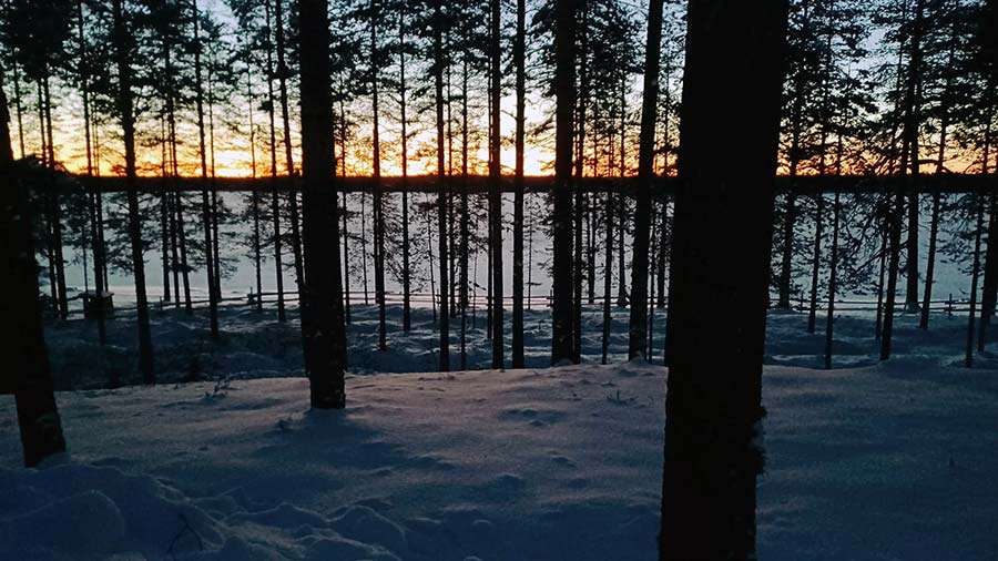 Auringon polte talven lävitse